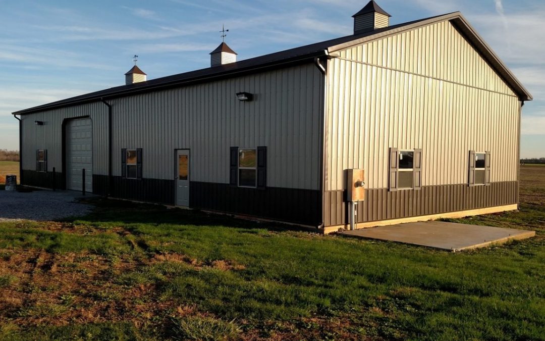 Workshop vs. Shed: Which Is Better?